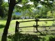 28-07-2006_068